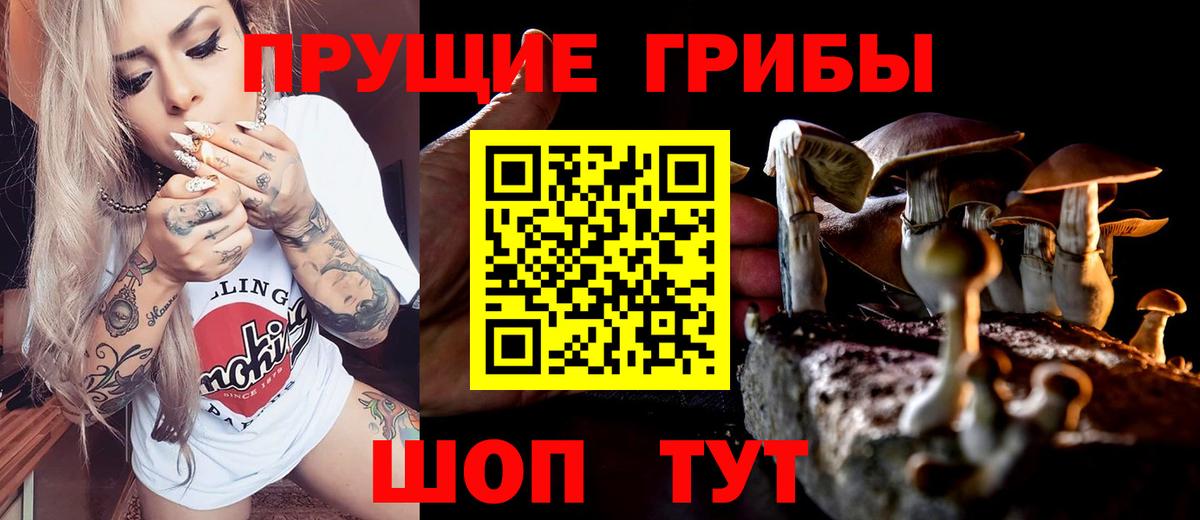 купить   Галлюциногенные грибы GOLDEN TEACHER  Вход с VPN  Лянтор 
